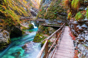 Famous and beloved Vintgar Gorge canyon with wooden path in beautiful autumn colors near Bled Lake of Triglav National Park