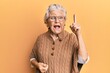 © Krakenimages.com - Senior grey-haired woman wearing casual clothes and glasses pointing finger up with successful idea. exited and happy. number one.