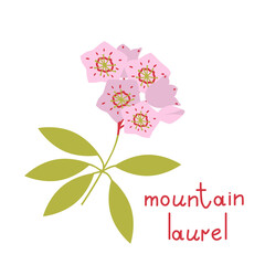 Poster - Mountain laurel vector flower