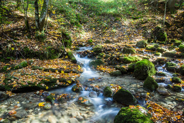 Sticker - hike in the forest in autumn in bavaria