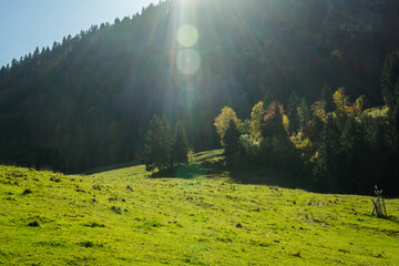 Wall Mural - mountain meadow with sun beams