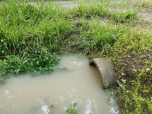 
Concrete Cylindrical Canal Drainage Flows Stagnant By The Overgrowth Plant And Weed.