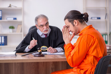 Wall Mural - Old male judge meeting with young captive in courthouse