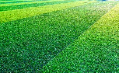 Wall Mural - Football pitch and a cloudy sky. Green field.