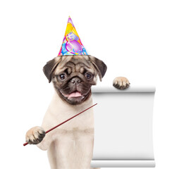Aufkleber - Pug puppy wearing party cap points on empty list. isolated on white background