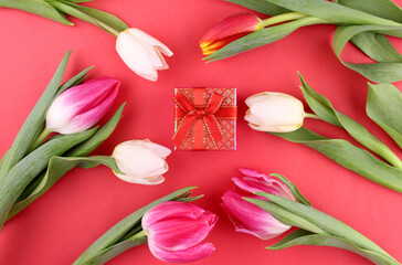 Bright red background with multicolored tulips and a red gift small box. Gift for Women's Day, Mother's Day, Birthday