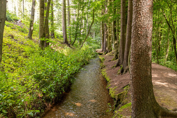 hiking trail and stream near trusetaler waterfall in thuringia