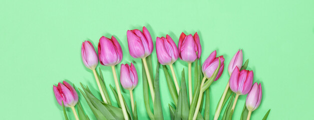  Tulip bouquet. Pink tulips on green pastel border background with copy space. Gorgeous tulips for holidays. Top view. Tulpis for Mothers day, Valentines Day, Birthday Greeting card