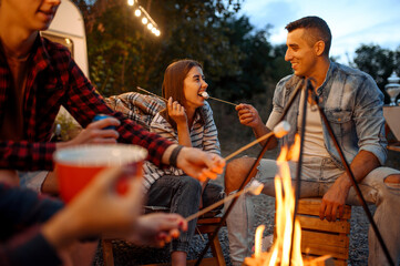 Wall Mural - friends having fun by campfire, picnic at camping