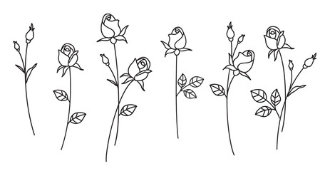 Aufkleber - Set of decorative fresh blossoming rose silhouette with leaves isolated on white background. Hand drawn outline flower icon. Vector stock illustration	