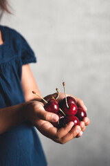 Wall Mural - The child holds a delicious cherry in his hands. Beautiful juicy berry.A handful of cherries.