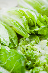 Romaine Lettuce -  green healthy salad ingredient.