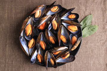 Wall Mural - Portion of steamed mussels adorned with bay leaves