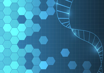 Vector : DNA and hexagons on blue medical background