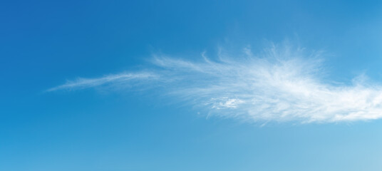 Wall Mural - angel wing shaped cloud against azure heaven. white cloud like a swan wing high in a blue sky. trans