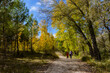 © angelescamez - Paseo por las Mariquillas en Albacete