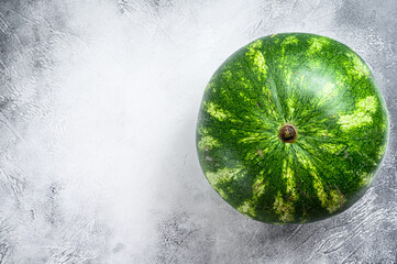 Wall Mural - Whole ripe green watermelon. Gray background. Top view. Copy space