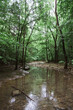 Calm Water at Indian Creek Arkansas
