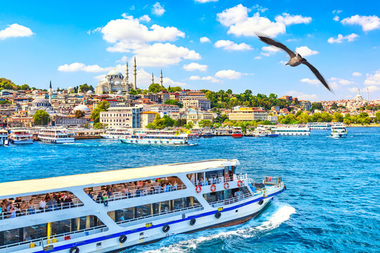 Wall Mural -  - Touristic sightseeing ships in Golden Horn bay of Istanbul and view on Suleymaniye mosque with Sultanahmet district. Seagull on the foreground. Istanbul, Turkey during sunny summer day.