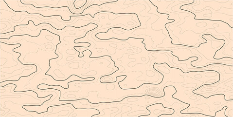 Poster - Topographic map background. Grid map. Contour map vector. Business concept. Abstract vector illustration.