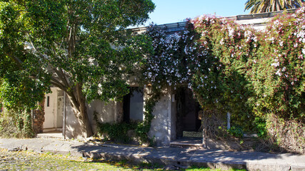 Wall Mural - Uruguay, Streets of Colonia Del Sacramento in historic center of Barrio Historico.