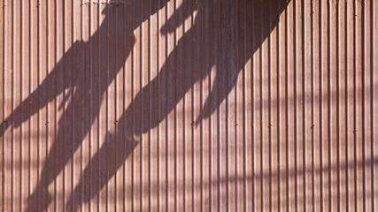 Wall Mural - Rust and shiny galvanized fence. Old metal fence with black shadow of banana leaves, background for presentations and articles or copy space. Selective focus