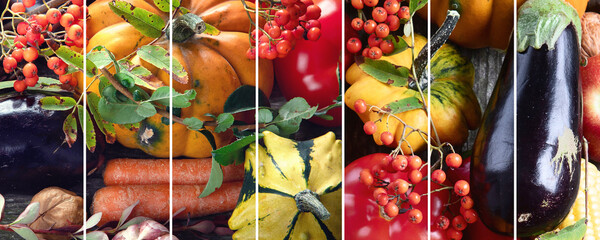 Wall Mural - Collage of autumn seasonal cooking concept.