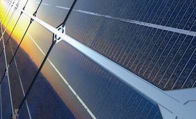 Wall Mural - photovoltaic panels in the light of the setting sun-close-up