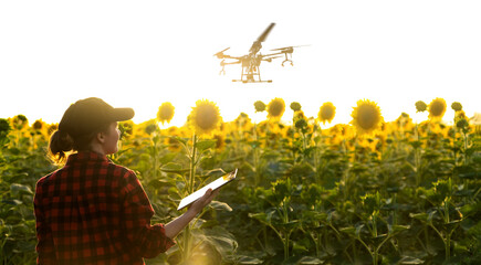 Fototapete - Farmer controls drone sprayer with a digital tablet