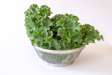 Green Leaves Curly Kale In The Metal Basket Isolated On White Background. The Bright Green Leaves Look Like Ruffles. Kale Is Frequently Called “the Queen Of Greens”.