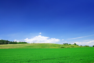 Wall Mural - mountain landscape, view of green field under the blue sky