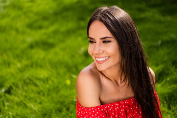 Poster - Photo of dreamy charming young lady wear red off-shoulders dress smiling sitting green grass outside countryside