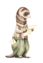 Watercolor Vintage Man Ferret In Shirt And Pants Holding And Read Letter.isolated On White Background. Watercolor Hand Drawn Illustration Sketch