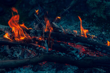 Small Flame Dying Fire, Bright Red-orange Flame. Cozy Warm Atmosphere By Outdoors Campfire Recreation, Burning Wood.
