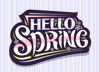 Wall Mural - Vector lettering Hello Spring, dark badge with unique curly calligraphic font, decorative flourishes, illustration of spring flowers, greeting card with swirly handwritten lettering hello spring.