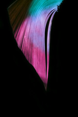 Fototapete - Close up Beautiful book pages in the multi color light on a night. Background pattern for design. Macro photography view.