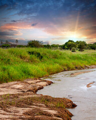 Wall Mural - River in Africa