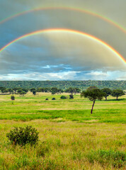 Wall Mural - Landscape of Africa