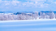 霧氷した木々と雪の丘　冬の北海道
