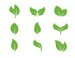 © GlopHetr - Eco, green, leaves icon set. Vector illustration.