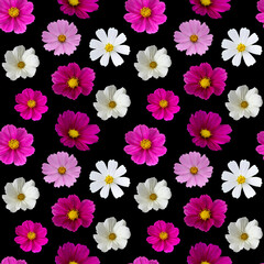 Wall Mural - Seamless pattern with flowers on a black background.