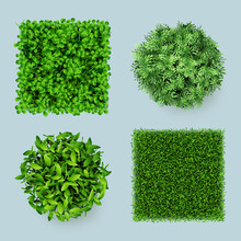 Grass Top. Green Ground Eco Gardens Forest Natural Leaves Plants Decent Vector Realistic Templates. Sample Nature Garden Plant, Green Grass And Leaf Illustration