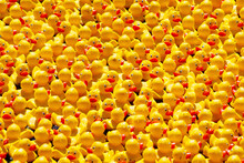 Full Frame Shot Of Yellow Rubber Ducks
