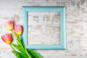  Three delicate pink tulips on a white wooden background and blue frame with free space for text