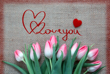 Pink Tulips And Two Red Hearts Isolated On A Cloth Background.