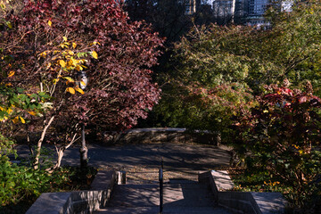 Wall Mural - Empty Shaded Staircase at Central Park in New York City going Down with Colorful Trees during Autumn