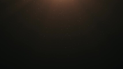 Wall Mural - beautiful 4k gold shimmering dust particles with lens flare on black background in slow motion. 3d a