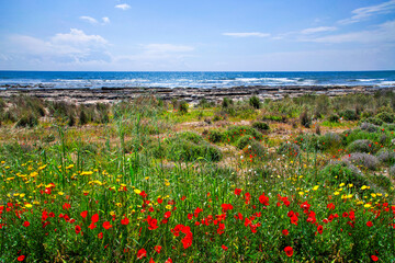 A view of a beautiful sea view in Ayia thekla in Ayia Napa,Cyprus.