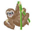 Sloth cartoon illustration hanging on tree top vine