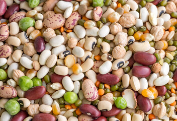 Wall Mural - Mixed dried legumes and cereals isolated on white background, top view